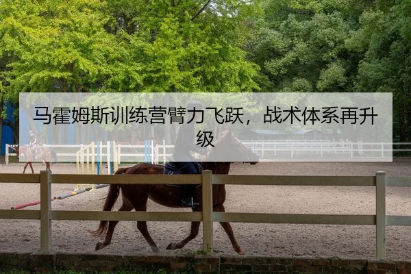马霍姆斯训练营臂力飞跃，战术体系再升级
