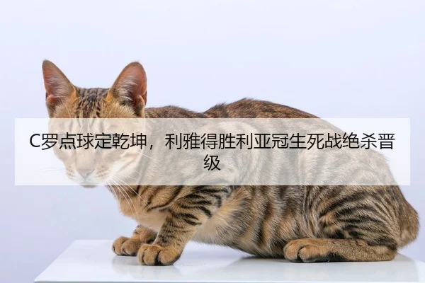 luo-dian-qiu-ding-qian-kun-li-ya-de-sheng-li-ya-guan-sheng-si-zhan-jue-sha-jin-ji-3-606.jpg