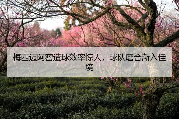 梅西迈阿密造球效率惊人，球队磨合渐入佳境
