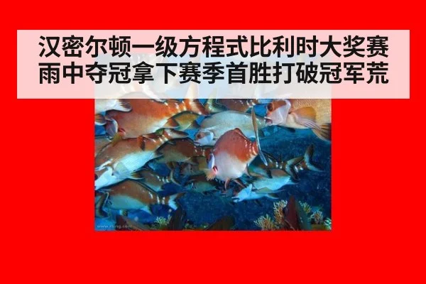 汉密尔顿一级方程式比利时大奖赛雨中夺冠拿下赛季首胜打破冠军荒
