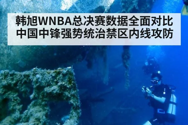 韩旭WNBA总决赛数据全面对比 中国中锋强势统治禁区内线攻防